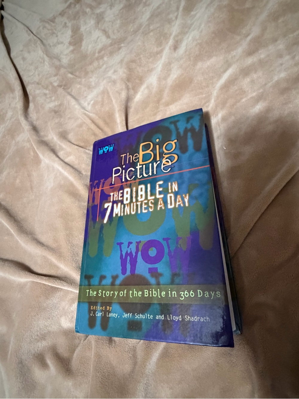 The Big Picture: The Bible in 7 Minutes a Day The Story of the Bible in 366 Days
